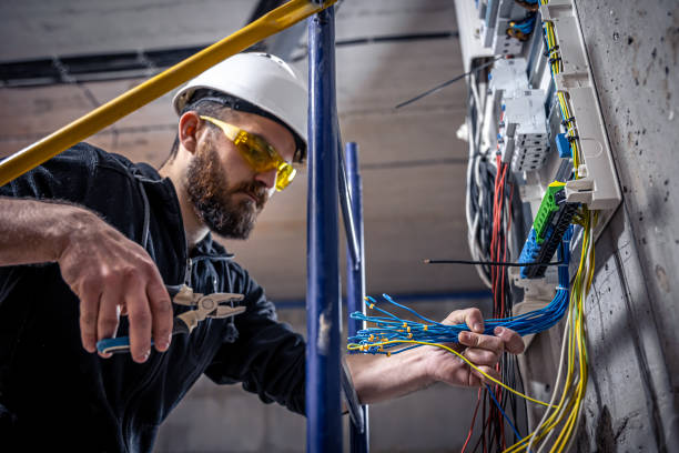 Best Electric Panel Repair  in Elephant Butte, NM